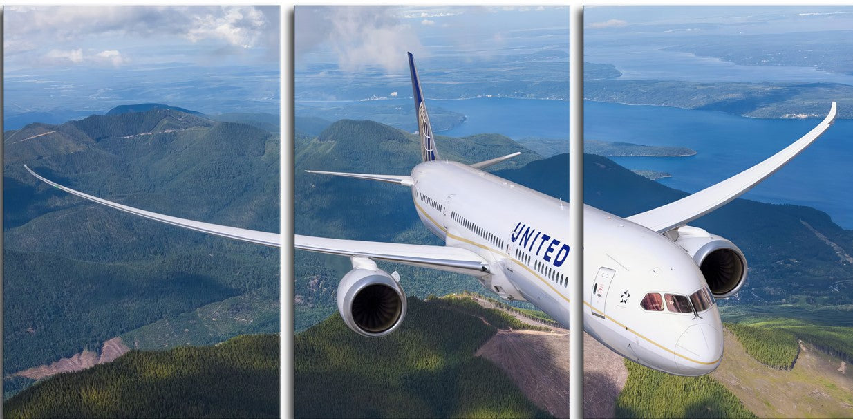 United Airlines 787-9 1JP208
