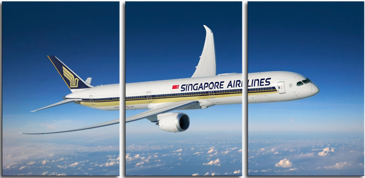 Singapore Airlines 787 1JP220