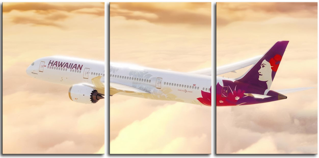 Hawaiian Airlines 787 1JP224