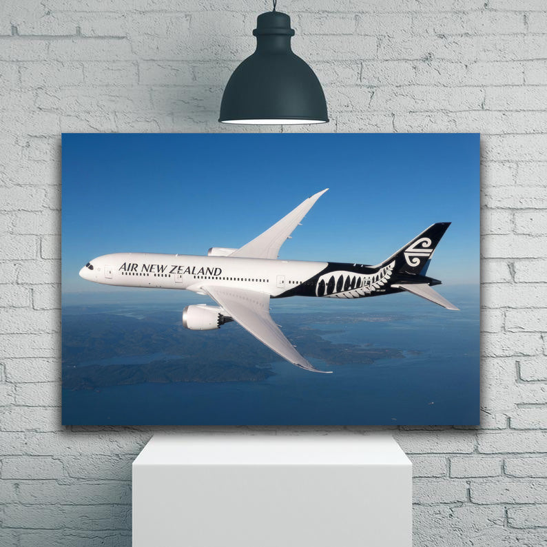 Air New Zealand 787-9 In Flight 1JP442