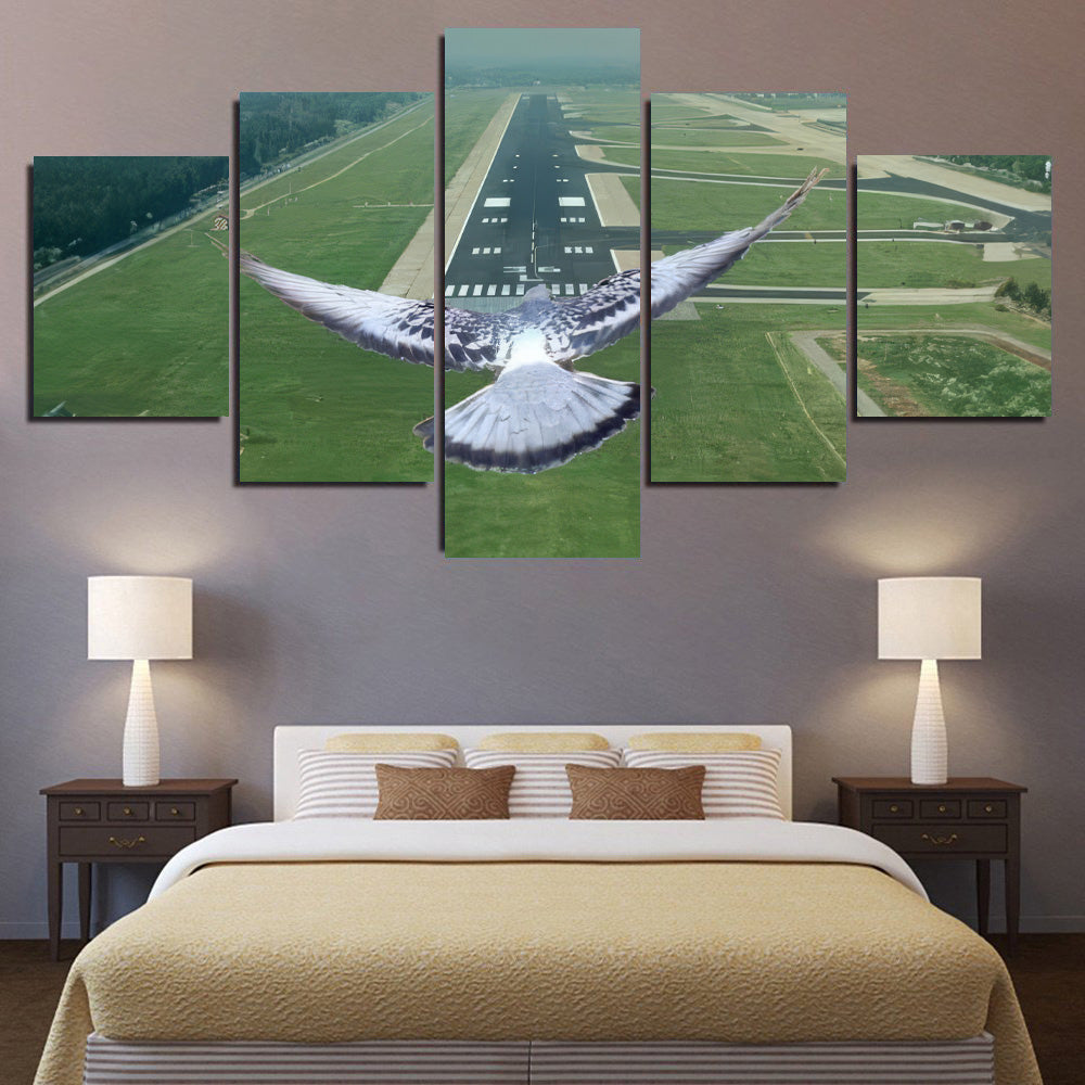 Pigeon on Finals 1JP453