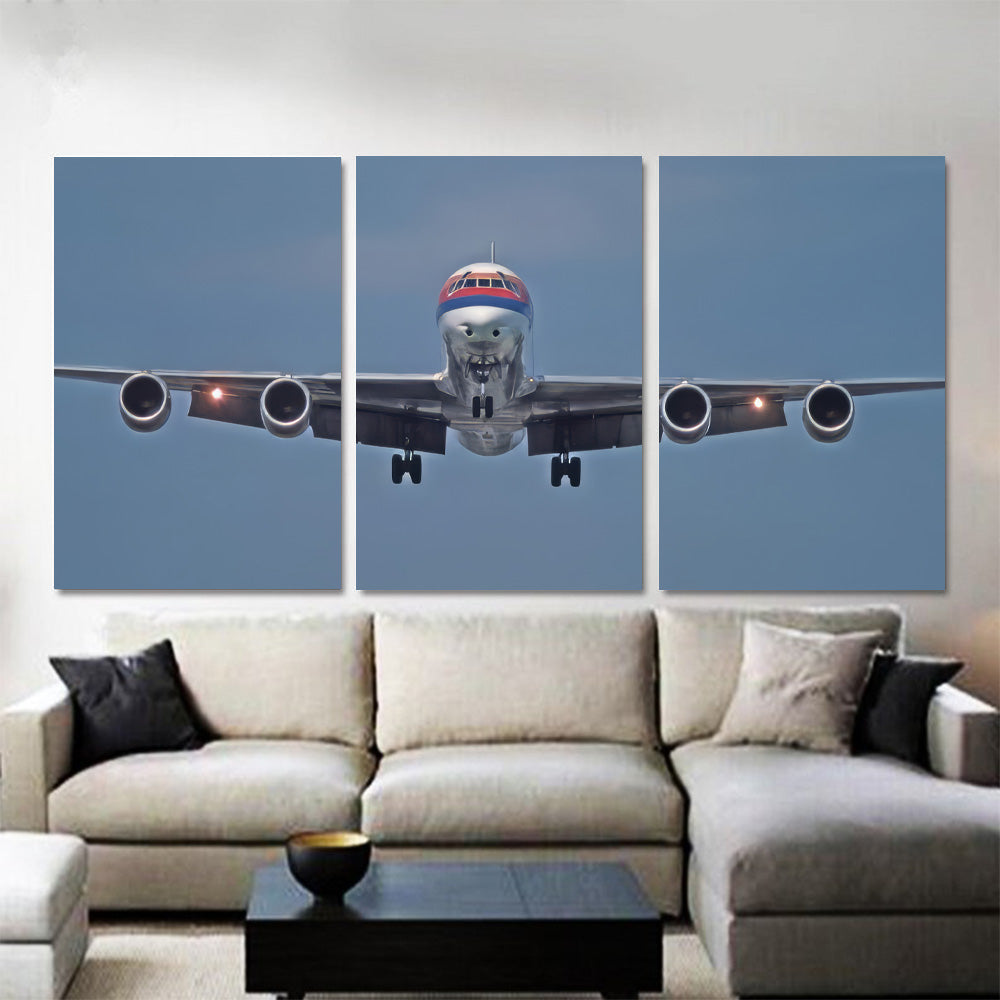 United Airlines DC-8 On Finals 1JP529