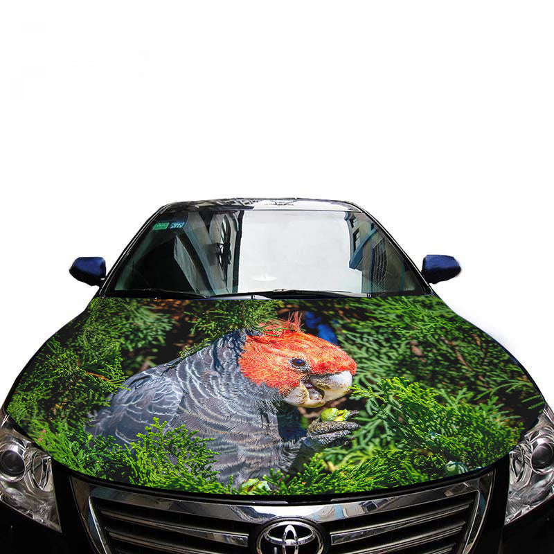 Gang Gang Parrot Bonnet Logo For Cars & 4Wd`s