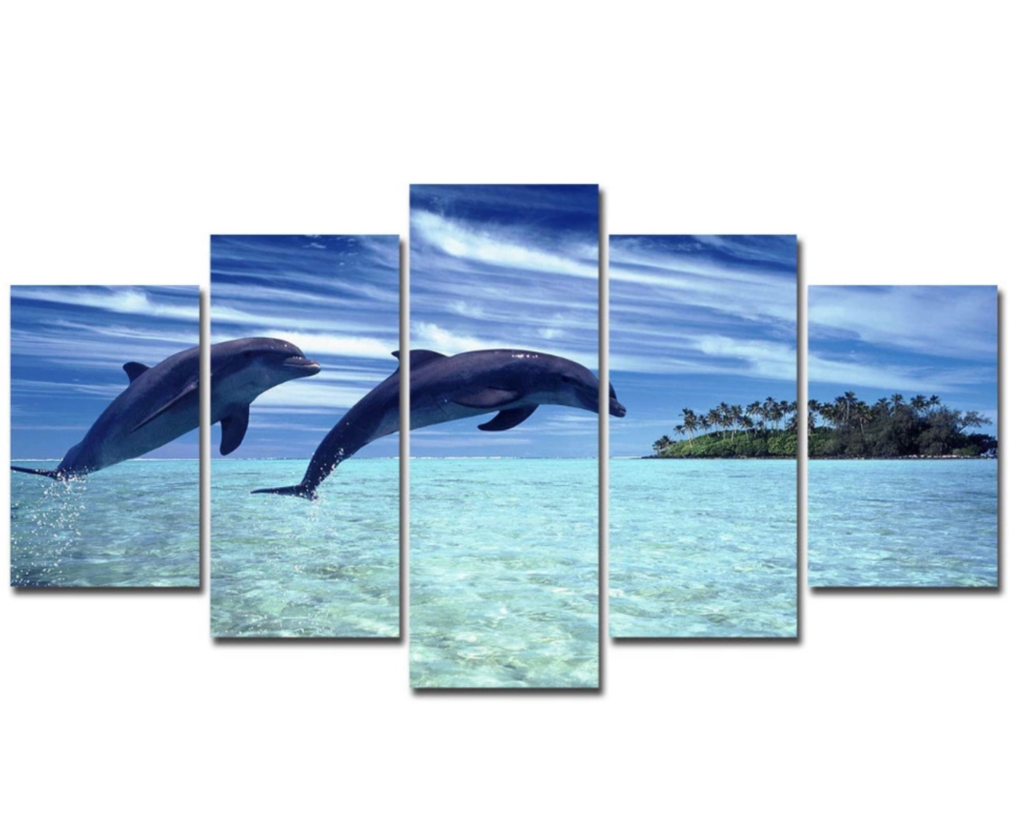 Dolphins Playing in a Tropical Paradise