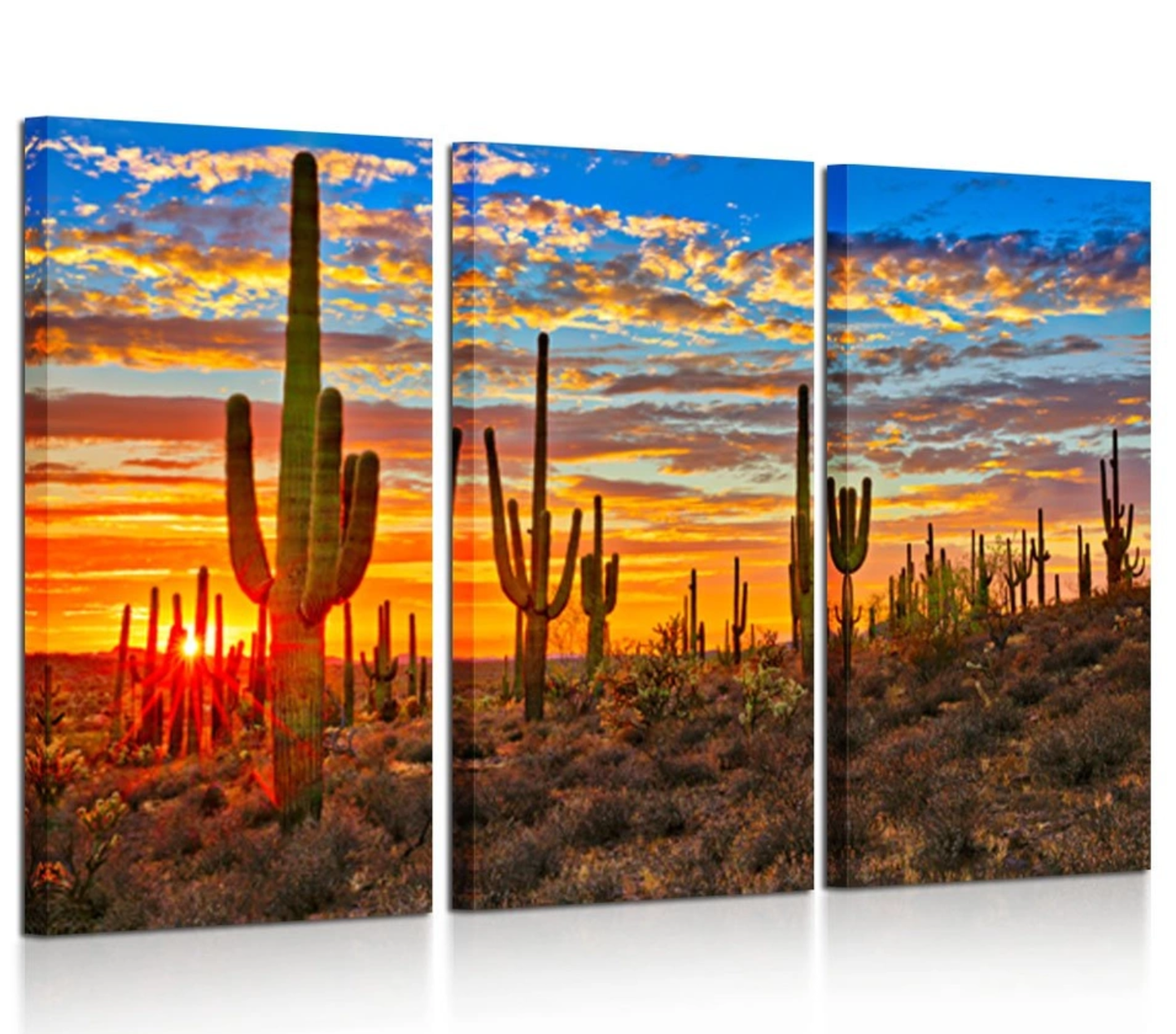 Desert Cactus
