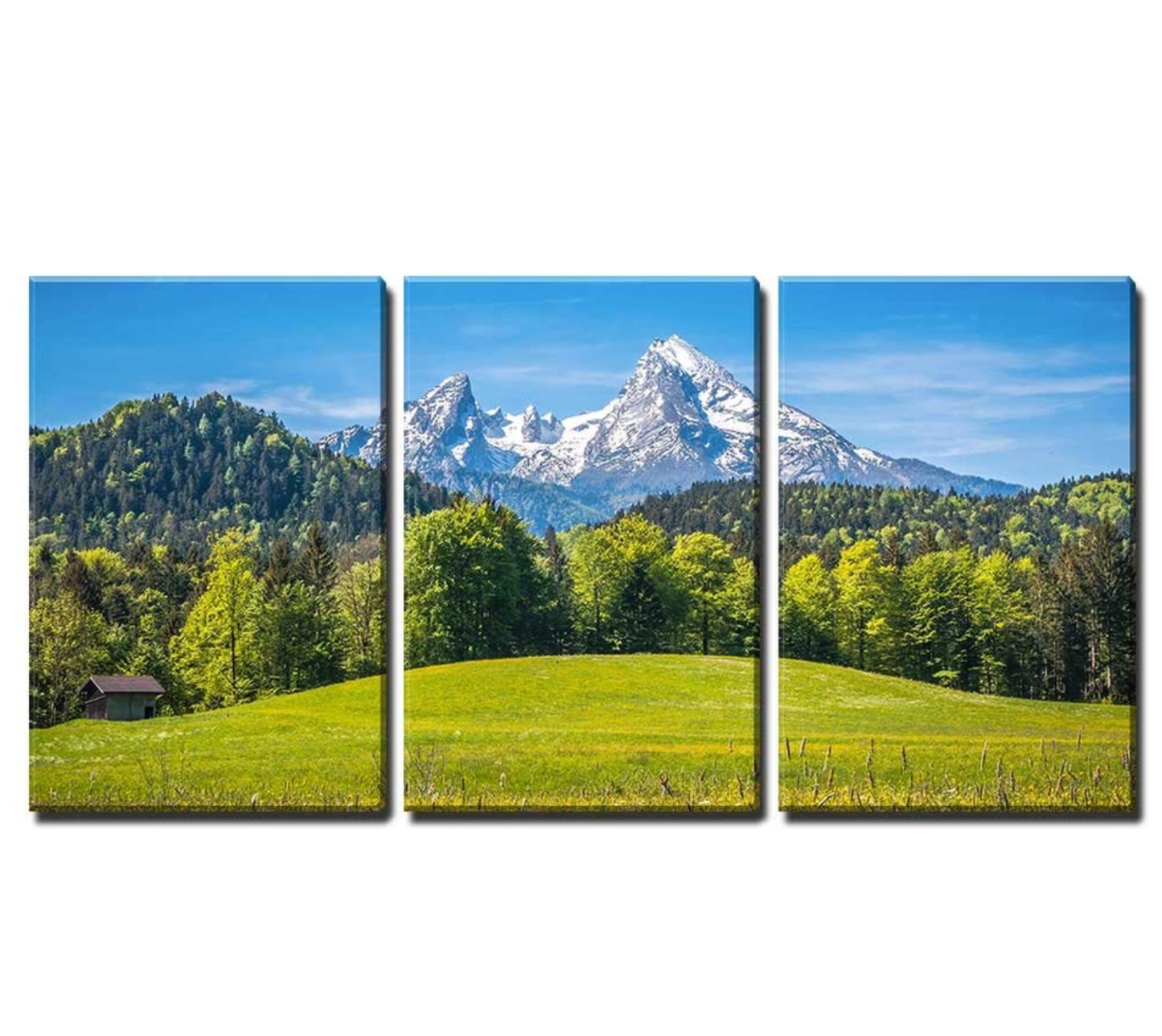 Meadows & Mountains