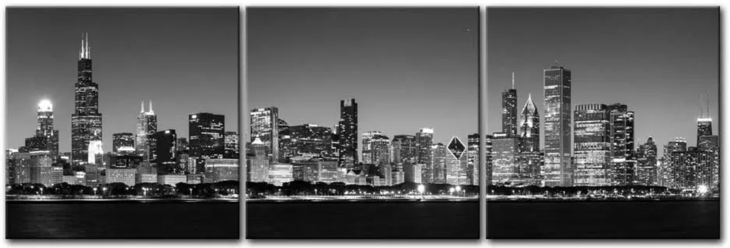 Chicago B&W Nightscape