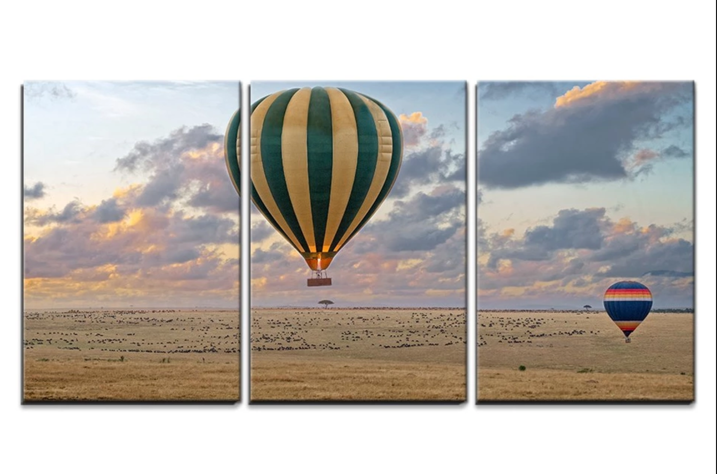 Balloons Taking to the Early Morning Skies