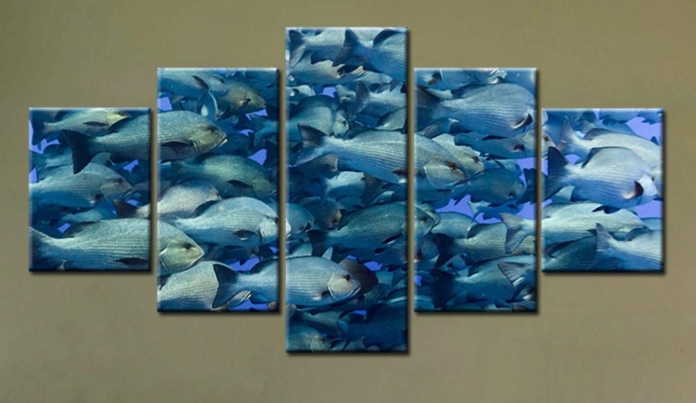 School of Fish 2