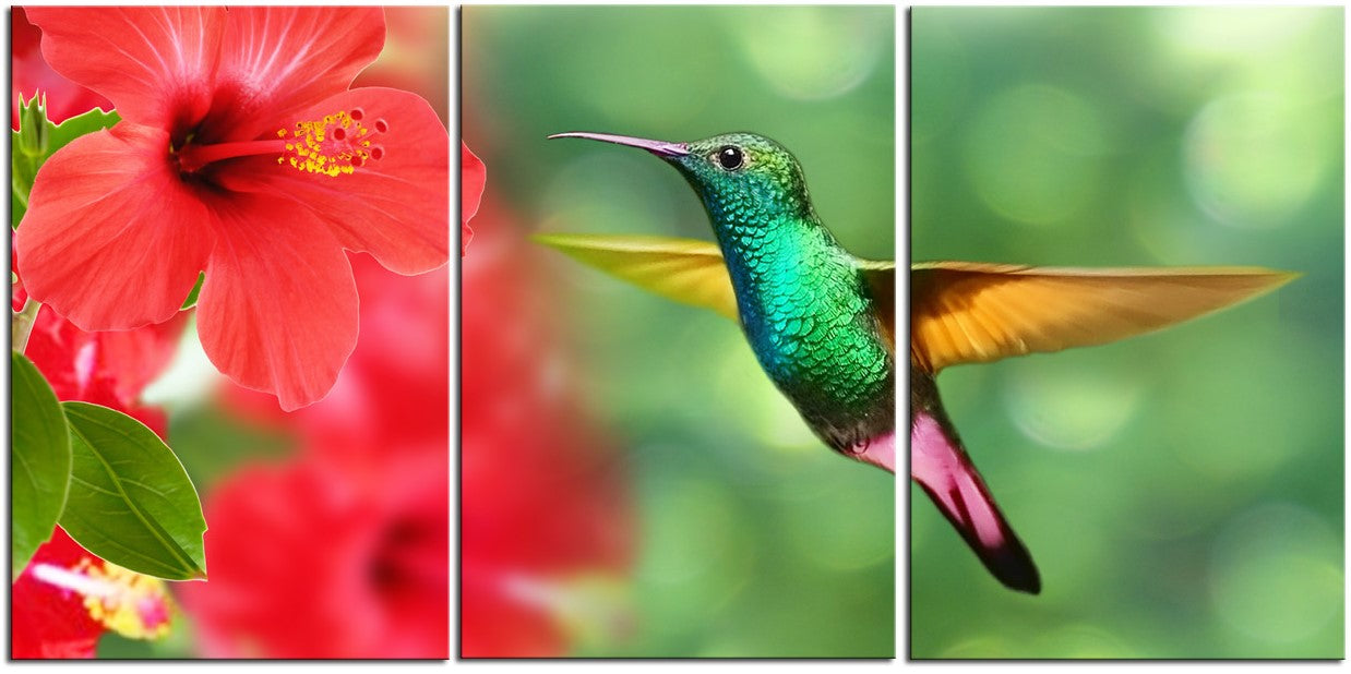 Amazing Humming Bird 1JP008