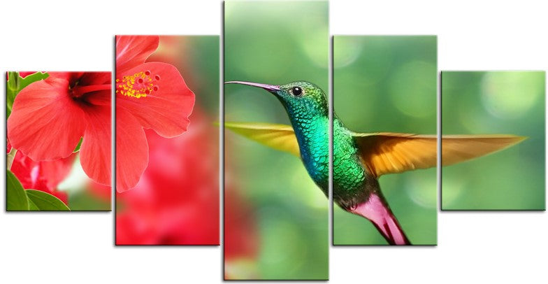 Amazing Humming Bird 1JP008