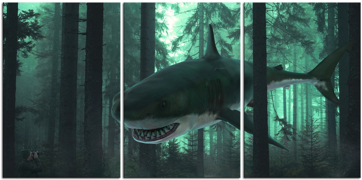 Shark in the Trees 1JP041