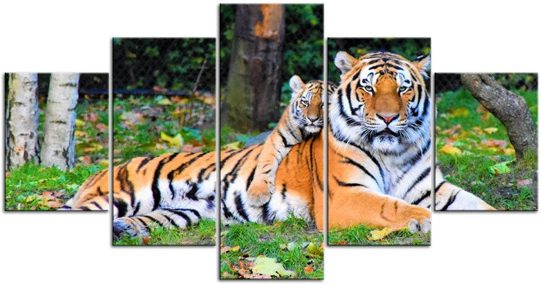 Tiger & Cub 1JP085
