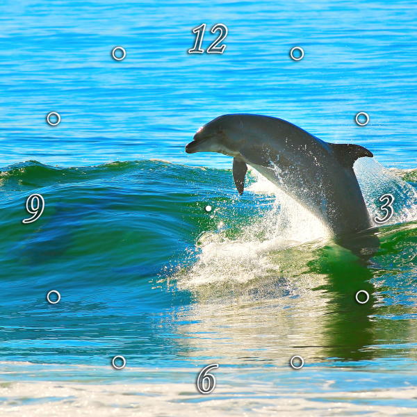 Dolphin playing in the Surf 1JPD125