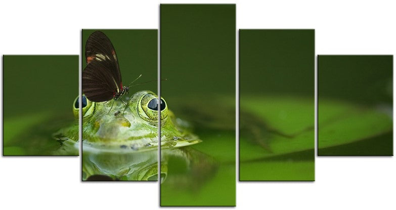Butterfly on Frog 1JPD144