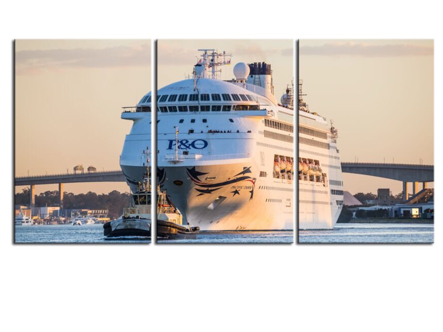 Cruise Ship on the Brisbane River 1PGR001