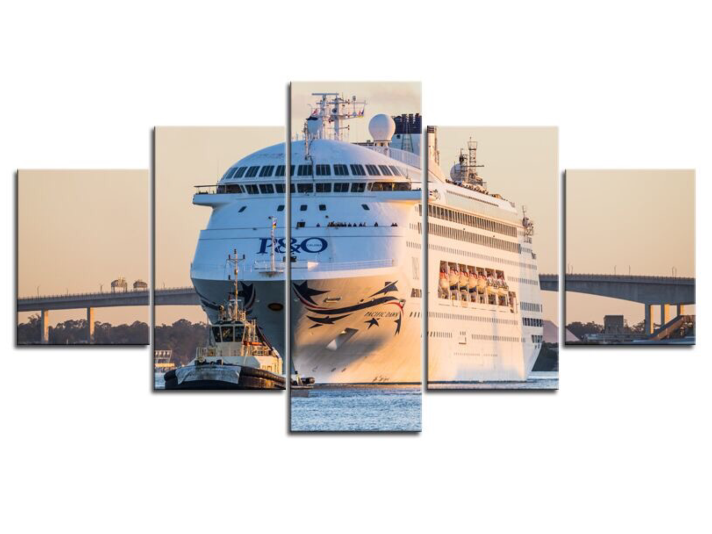 Cruise Ship on the Brisbane River 1PGR001