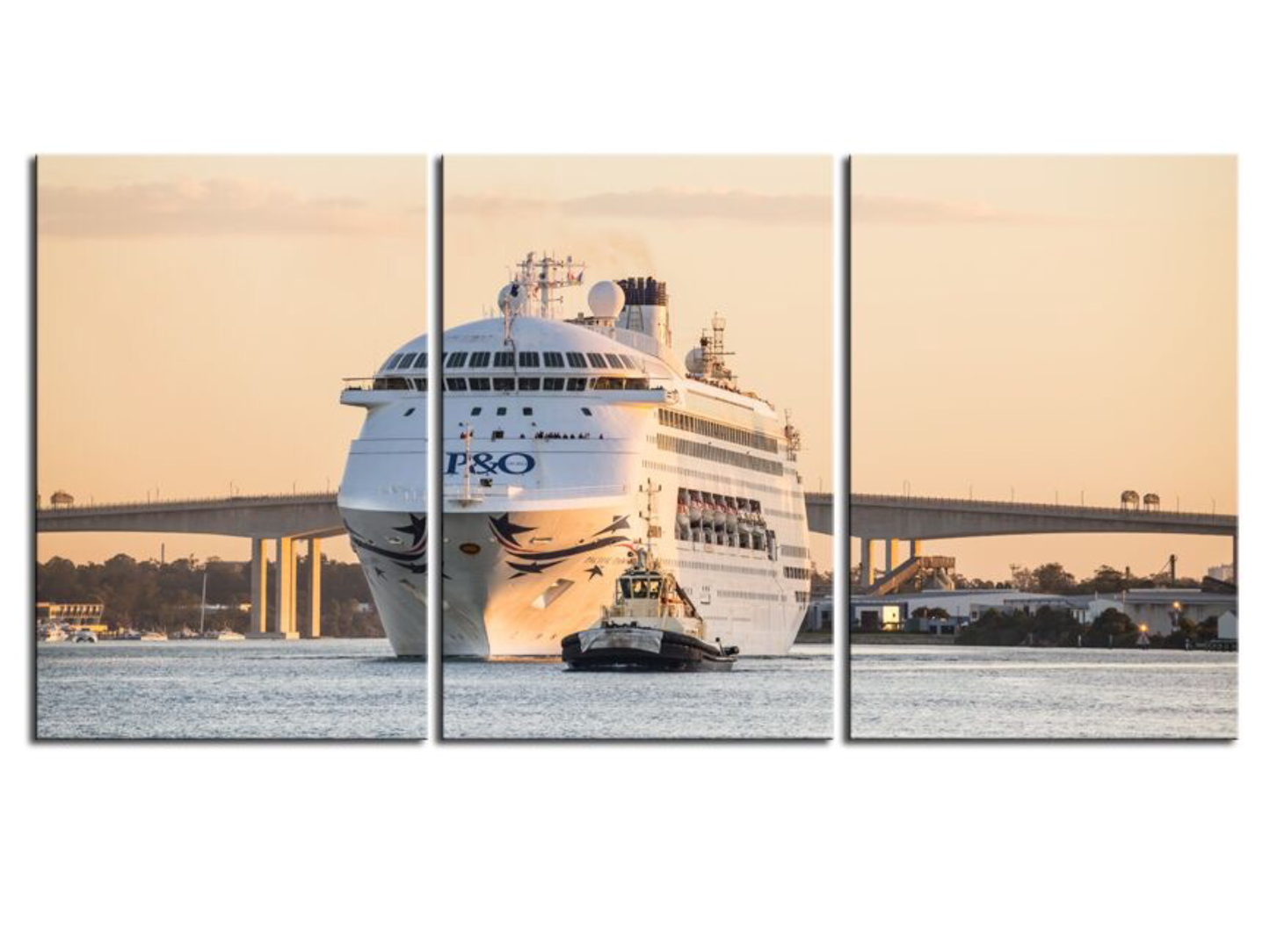 P & O Cruise Ship on the Brisbane River Long View 1PGR002