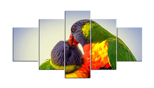 Amazingly Colourful Rainbow Lorikeets 1PHM008