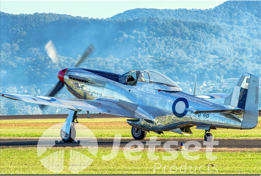 Mighty Mustang Warbird 1PHM013