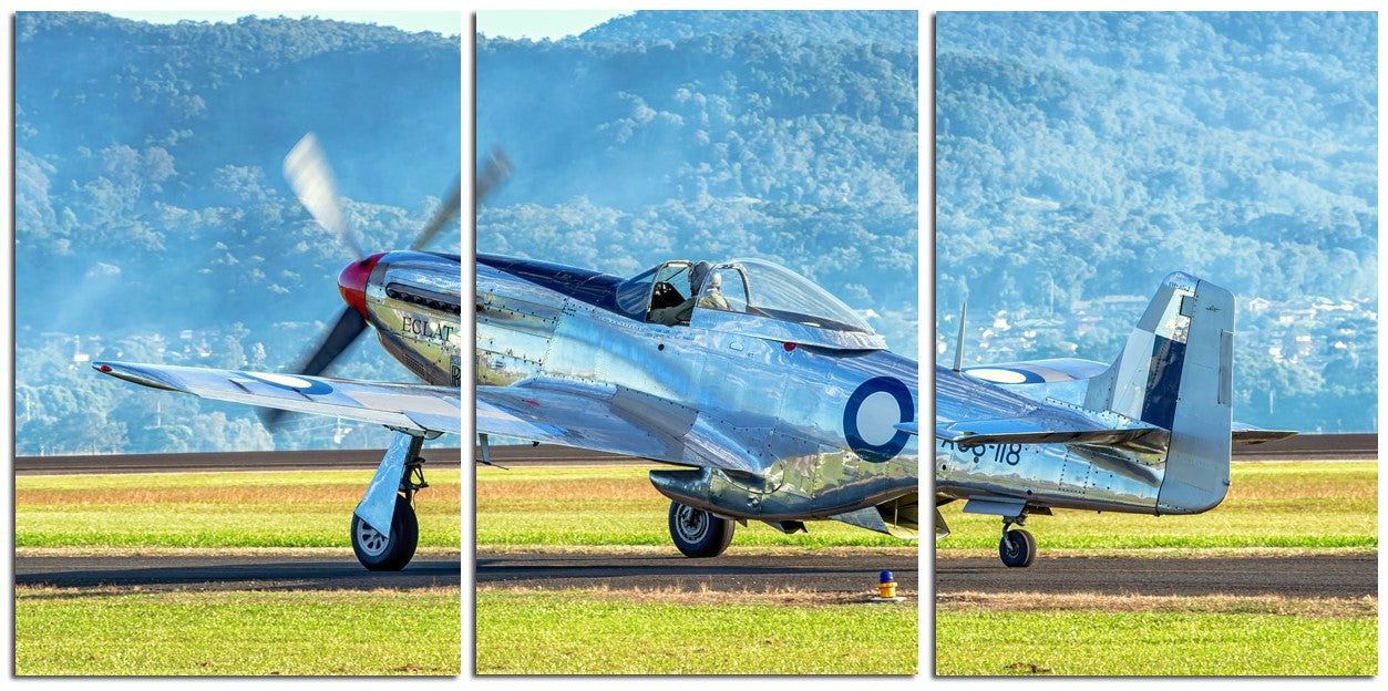 Mighty Mustang Warbird 1PHM013