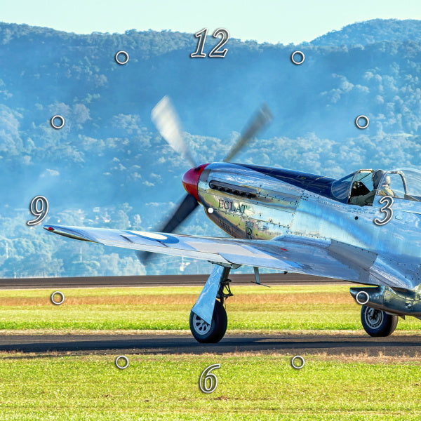Mighty Mustang Warbird 1PHM013