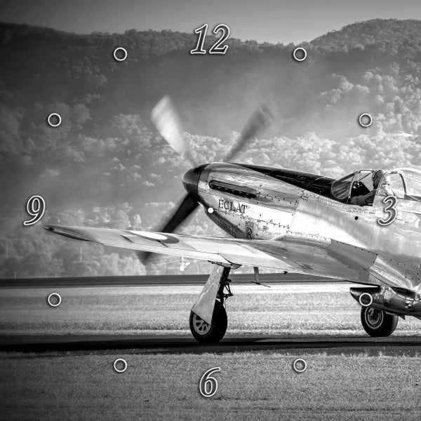 Black & White Mighty Mustang Warbird 1PHM013A