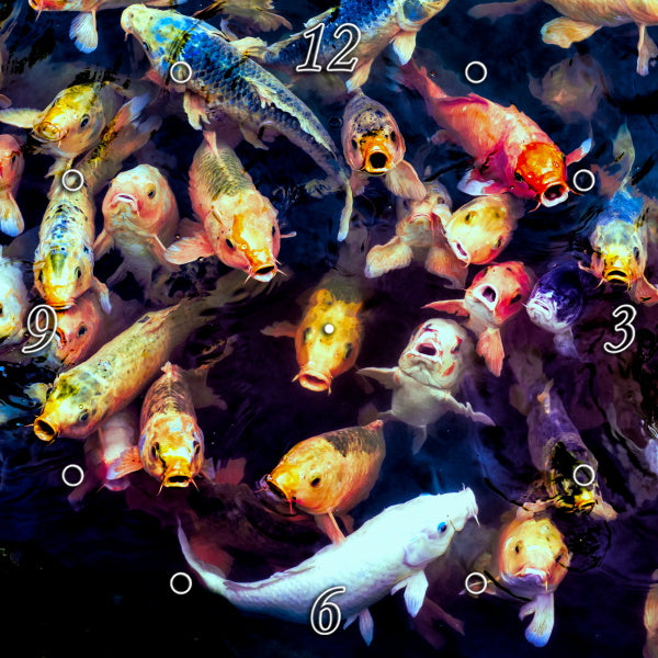 Adorable Koi Fish 1PHM020