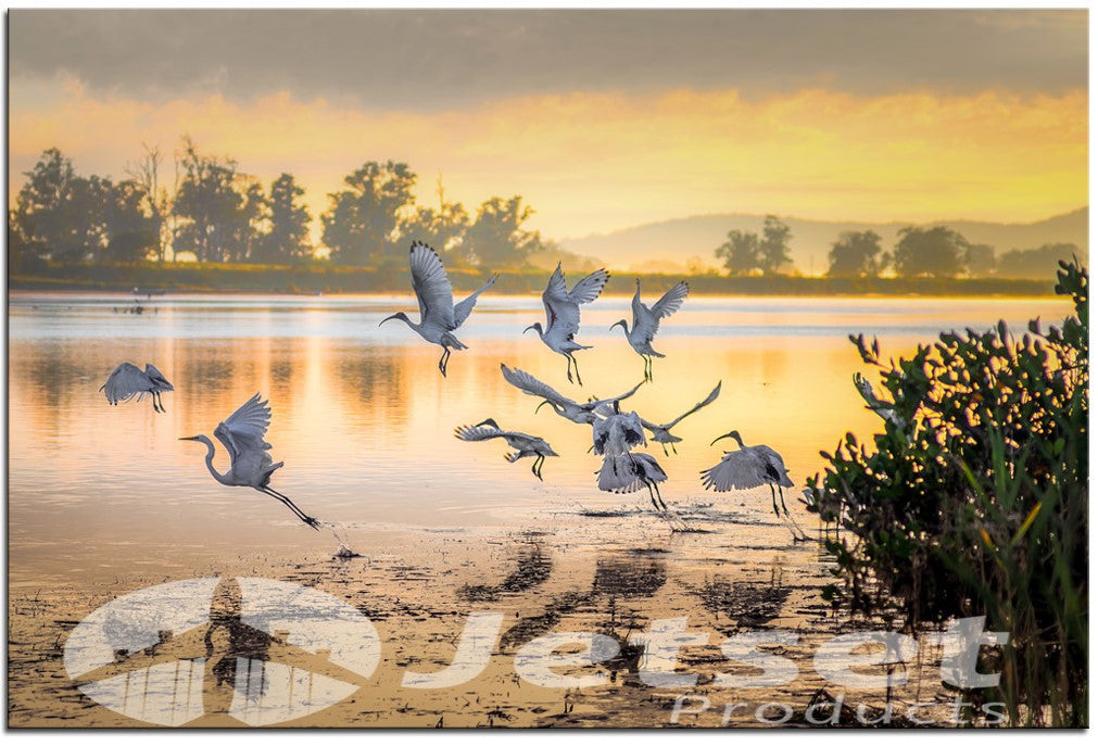 Sunrise on the Shoalhaven River NSW 1PHM025