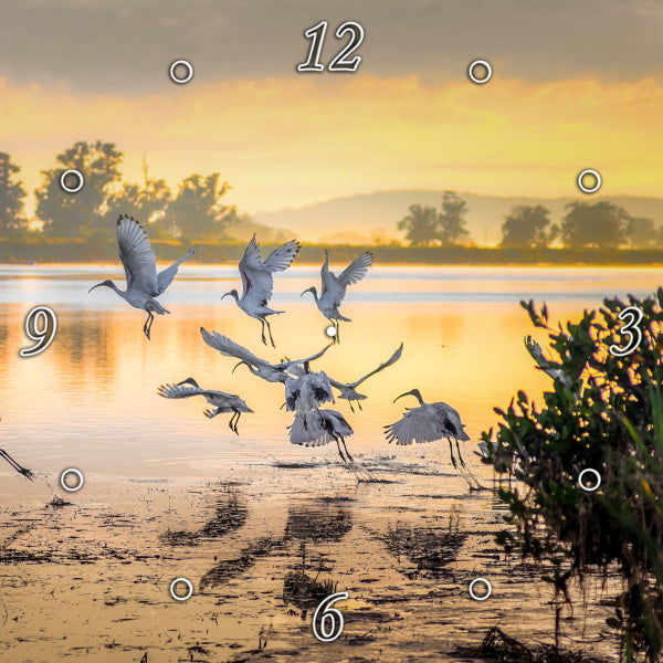 Sunrise on the Shoalhaven River NSW 1PHM025