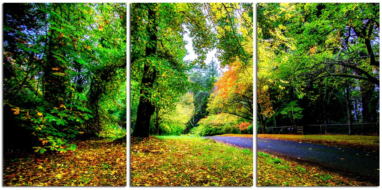 Stunning Country Road NSW 1PHM041