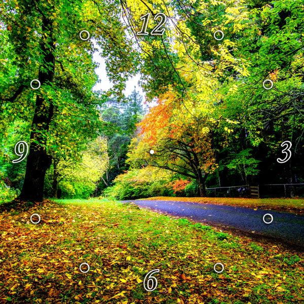 Stunning Country Road NSW 1PHM041