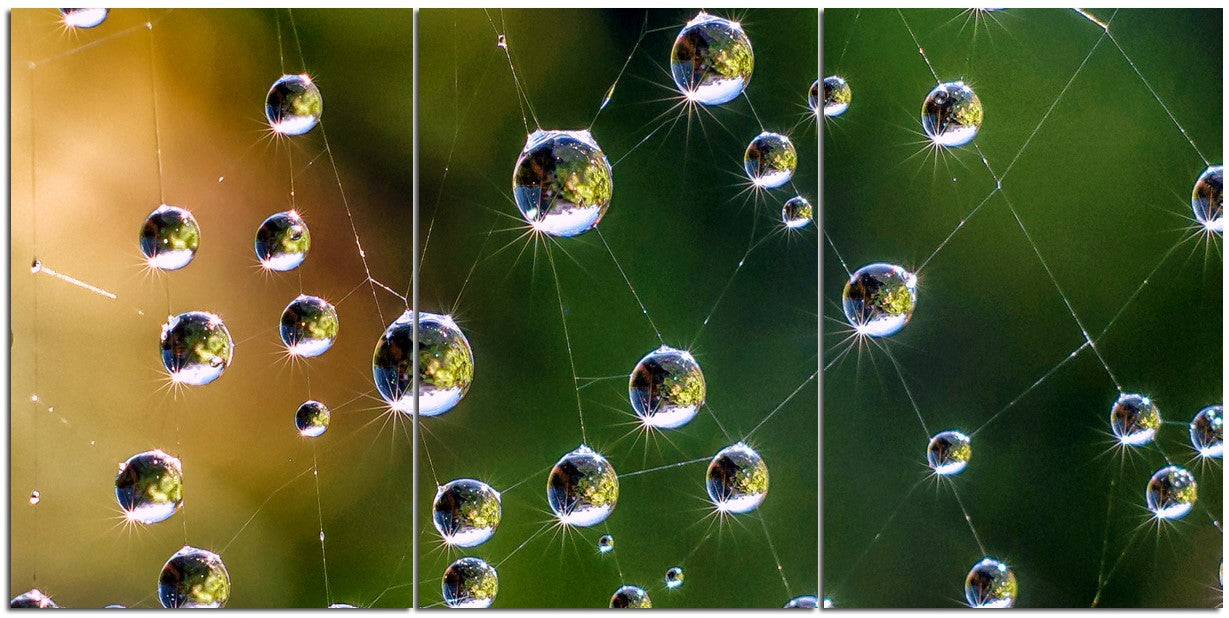 Magical Droplets of Water 1PHM052