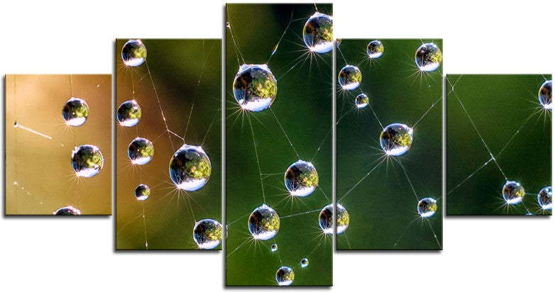 Magical Droplets of Water 1PHM052