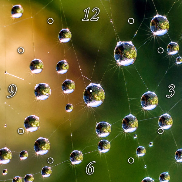 Magical Droplets of Water 1PHM052