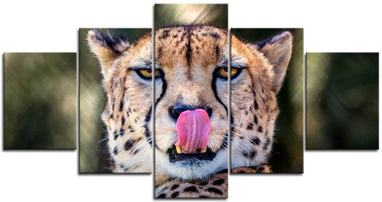 Incredible Cheetah Up Close 1PHM058