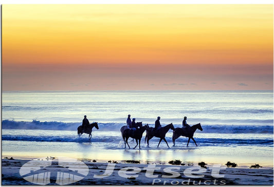 Working the Horses Out at Sunrise 1PHM060