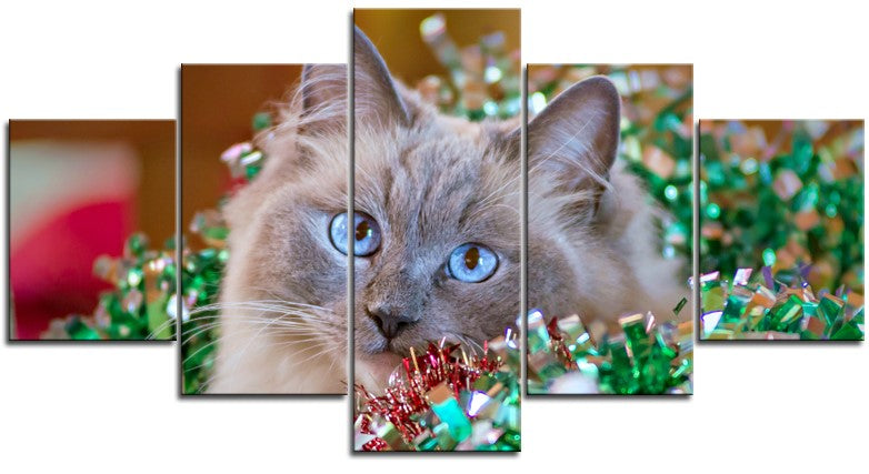 Christmas Kitten 1PHM062