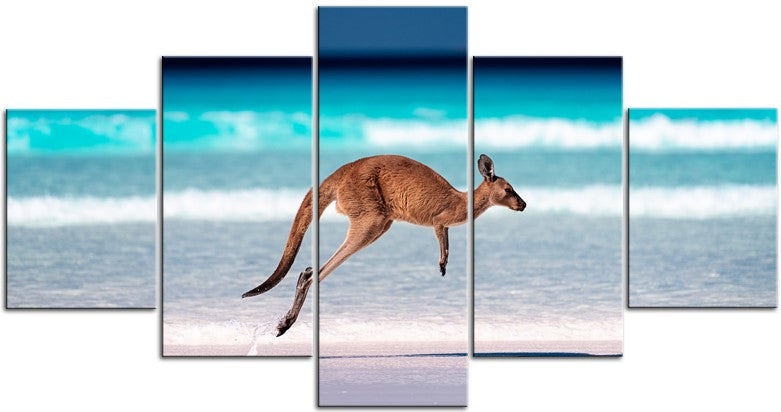 Kangaroo on the Beach 1JP200