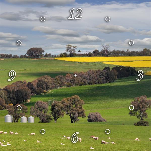 Barley Crop Australia 1JP207