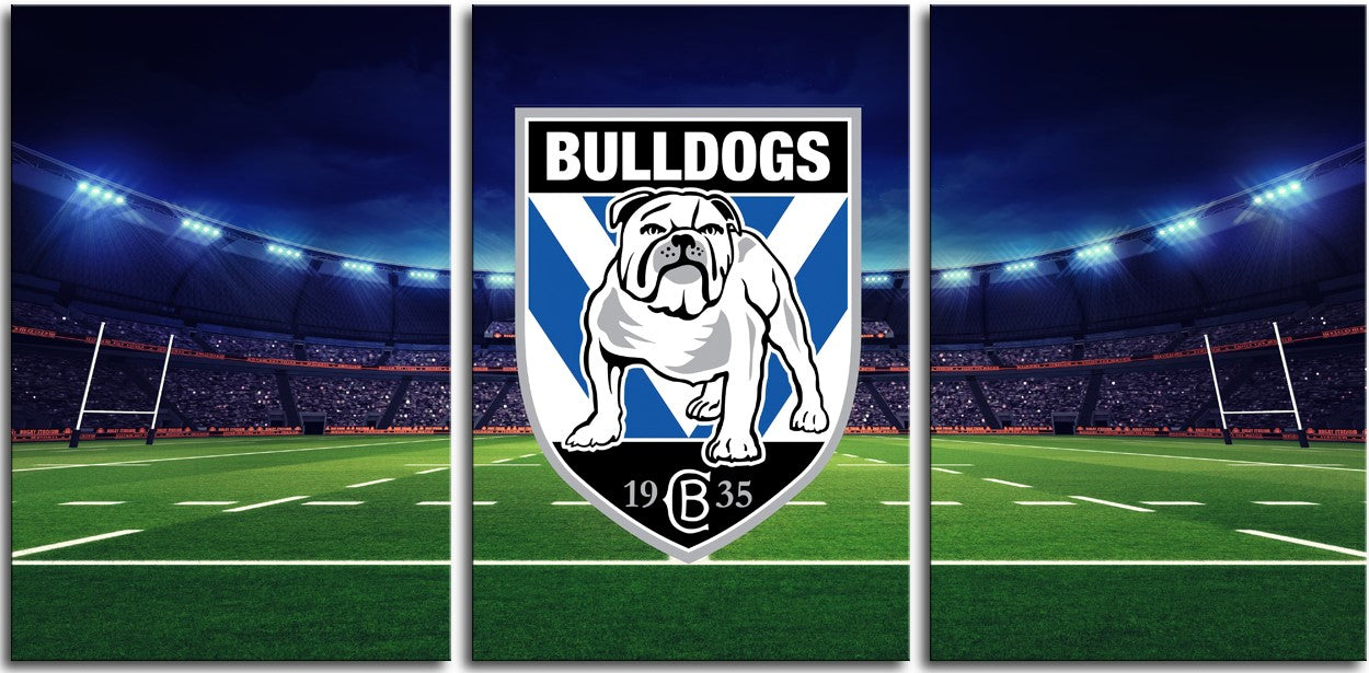 Canterbury Bulldogs 1JPDCAN