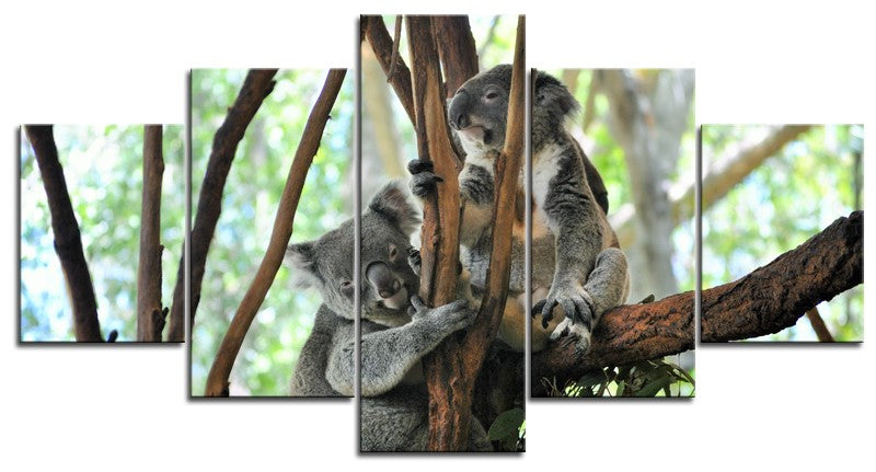 Koala`s Relaxing 1PMW001
