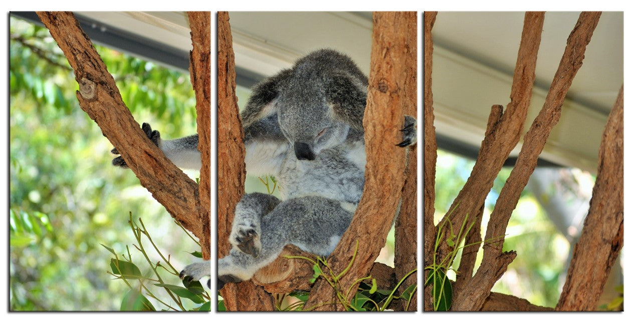 Master Yoda Koala Version 1PMW004