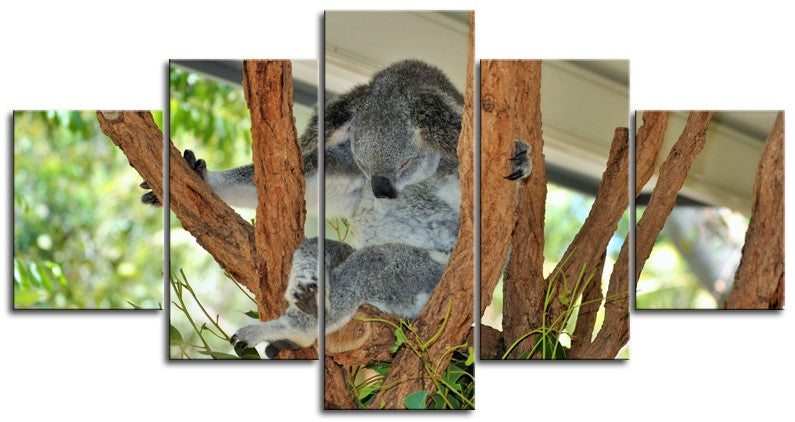 Master Yoda Koala Version 1PMW004