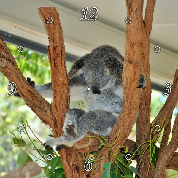 Master Yoda Koala Version 1PMW004