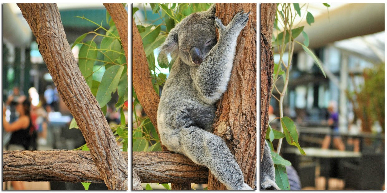 It`s Been A Hard Days Night 1PMW005