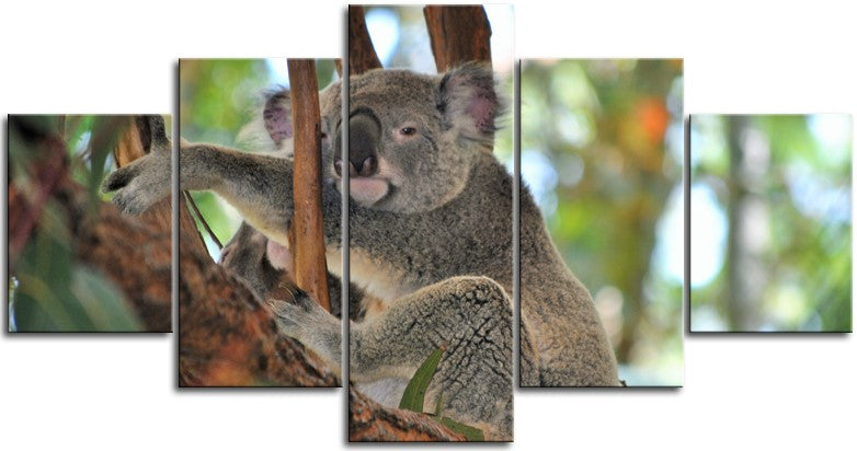 Relaxation Level Expert 1PMW006