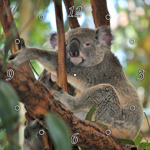 Relaxation Level Expert 1PMW006
