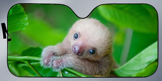 Baby Slough Sunshade For Cars & Trucks