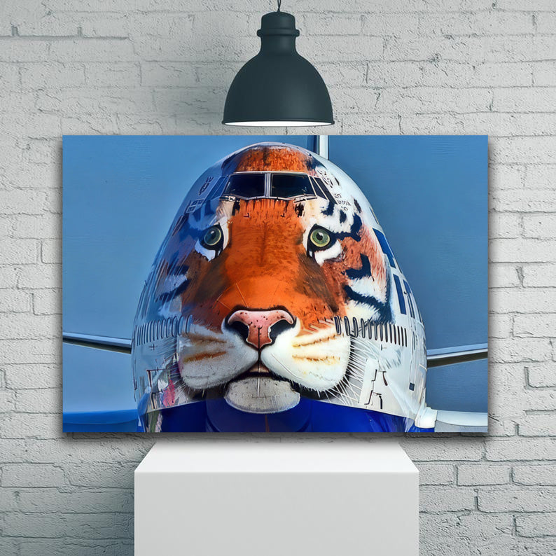 Rossiya Tiger 747-400 UP Close 1JP599